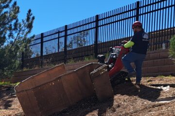 Stump Grinding